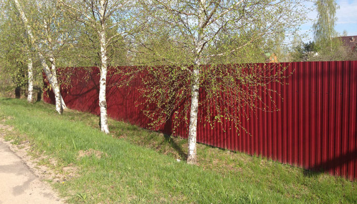 Забор из красного профнастила, Фото, №5